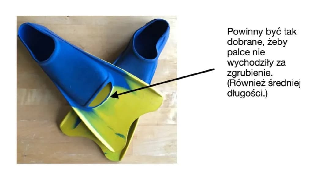Jakie płetwy do nauki pływania wybrać, by uniknąć frustracji? Jakie płetwy do nauki pływania wybrać, by uniknąć frustracji?