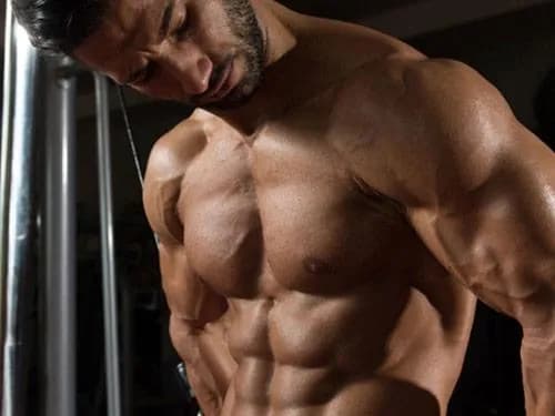 Beta alanina ile przed treningiem: kiedy i jak ją stosować? Beta alanina ile przed treningiem: kiedy i jak ją stosować?