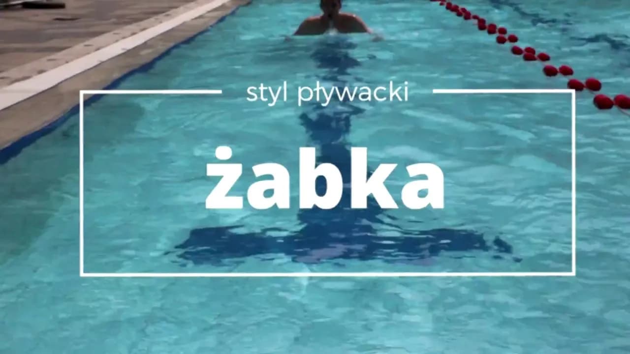 Jak pływać żabką z głową nad wodą i uniknąć powszechnych błędów Jak pływać żabką z głową nad wodą i uniknąć powszechnych błędów